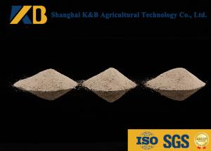 Wholesale High Protein Content Rice Protein Powder Feed Grade With Yellowish Colour from china suppliers