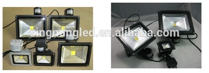 10w 30w Epistar Chip sensor led flood light IP65 outdoor led flood light CE RoSH certific