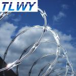 Iso9001 Certificated 0.5mm Concertina Barbed Wire Galvanized Military