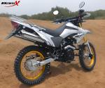 Single Cylinder 200cc Dual Sport Motorcycle Two Pipes Muffler Alloy 4 Stroke