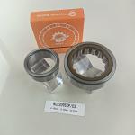 45*85*23mm NU/NJ/NF2209ECP Cylindrical Roller Bearing for Construction Machinery