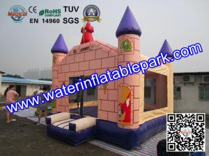 Wholesale Garden Hiring Inflatable Bouncy Castle House For Outdoor Game from china suppliers