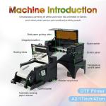 XP600 Head Direct to Film Digital Printer for Pet Film Inkjet Printing A2 17inch