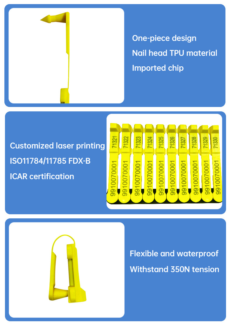 One-Piece Electronic Sheep Ear Tags For Tracking /134.2khz Frequency Custom Cattle Ear Tags