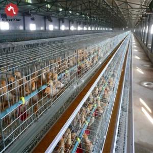 Wholesale A Type Broiler Chicken Cage System Automatic Chick Breeding Cages 144 Birds from china suppliers