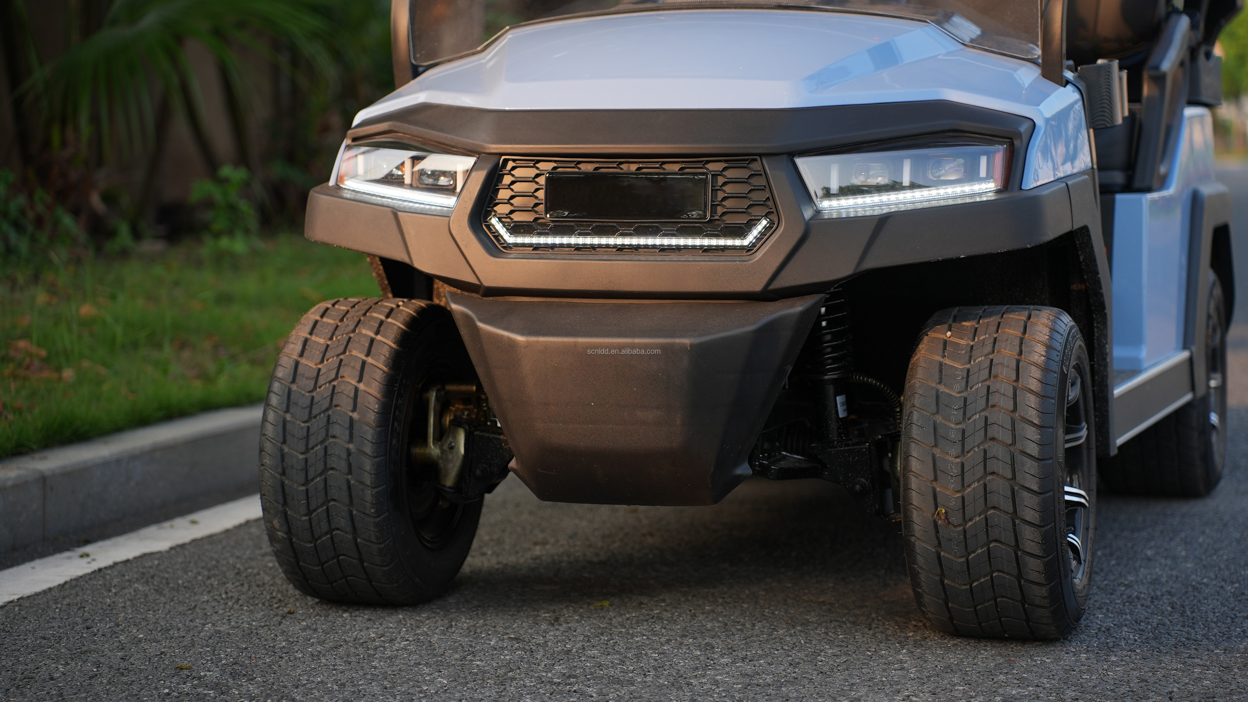 2 4 6 Seat Electric Lithium Battery Sightseeing Golf Cart Golf Buggy Car with DOT Comfortable and Spacious