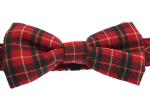 Butterfly Knot Dog Walking Collars , Cute Dog Collars Plaid Fashionable