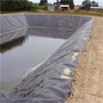 300 Micron 500 Micron 750 Micron Geomembrane Pond Liner for Reservoir Length 50m