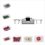 Horizontal Packaging Machine Chicken Vacuum Packing Machine For Sea Food