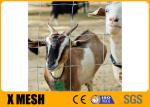 Hinge Joint Metal Farm Fence 2.5mm Wire Grassland Fence