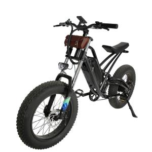Wholesale Customized 48V 13AH 1000W High Speed Dirt Bike Off-road Fat Tire Ebike with Brushless Motor from china suppliers