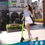 Eco Rider 5 inch electric balance scooter , two wheel electric kick scooter with