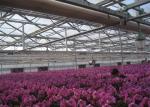 Hollow PC Sheet Greenhouse , Venlo Style Greenhouse Long Service Life