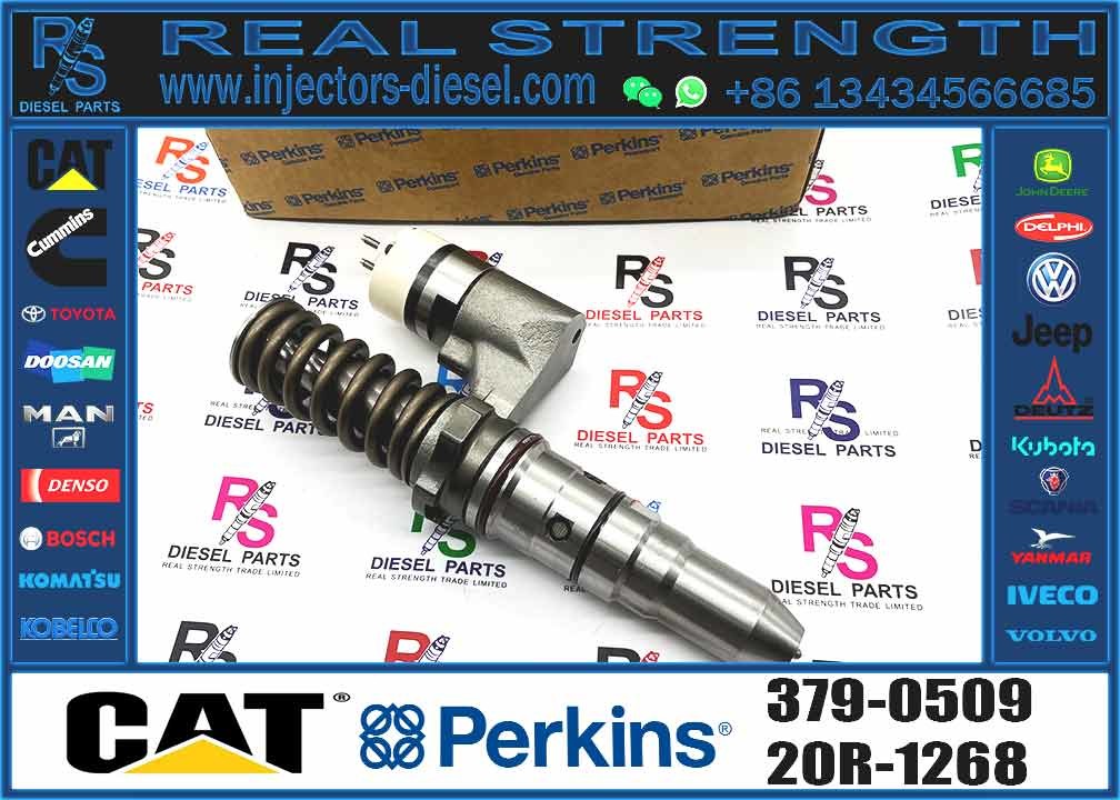Excavator Parts 3116 Engine Injector 0R-8483 0R-3002 0R-8477 0R-3190 0R-8473 4P-2995 Fuel Injector For Excavator
