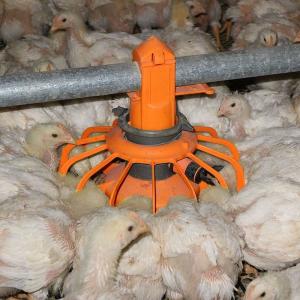 Wholesale HI HOPE Chicken Farm Equipment 45cm Dia Pipe from china suppliers