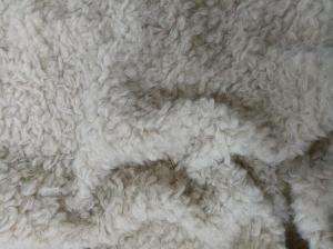 Wholesale Curled Warp Knitted Soft Plush 380gsm 100% P from china suppliers