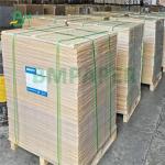 30gsm 50gsm Bleached 100% Foodgrade Greaseproof Paper For Hamburg Wrapped 11 X