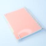 PVC Cover 9 Ring Binder Organizer Colorful Separator Page For Conference / Class