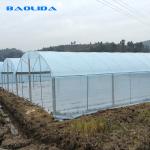150 Micron PE Film Agricultural Greenhouse For Vegetable Fruit Growing