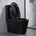 Siphonic One Piece Elongated Dual Flush Toilet Skirted Trapway 300mm Rough In