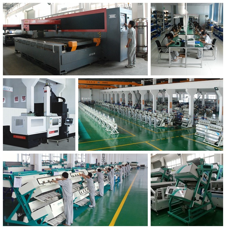 Soybean Peanut Rice Color Sorter Machine With Six Color Selection Models