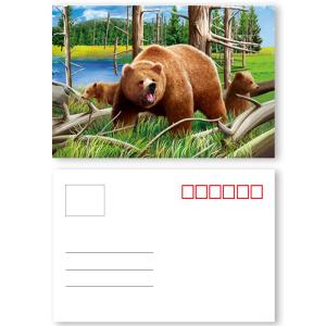 Wholesale Fashion Eco - Friendly 3D Plastic Cards / Lenticular Postcard Printing from china suppliers