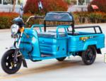 48V - 60V 500W Adult Small Electric Cargo Tricycle Scooter Family Use