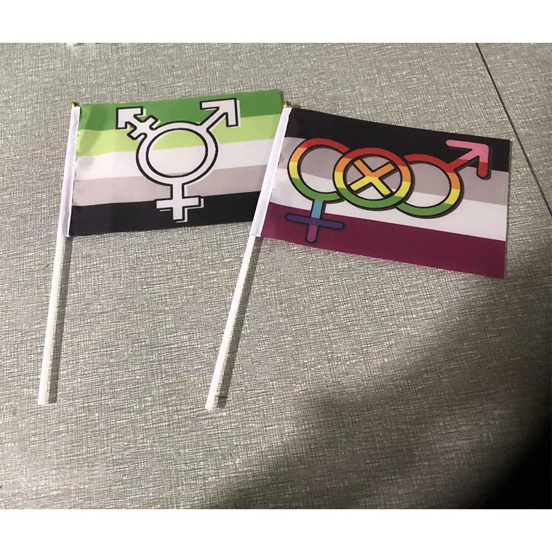 YaoYang LGBT Flag Hand Held Pride Rainbow Flag Small Mini
