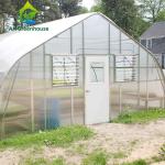 2.2-5.5m Height Venlo Hot Galvanized Tube Greenhouse With Cooling System