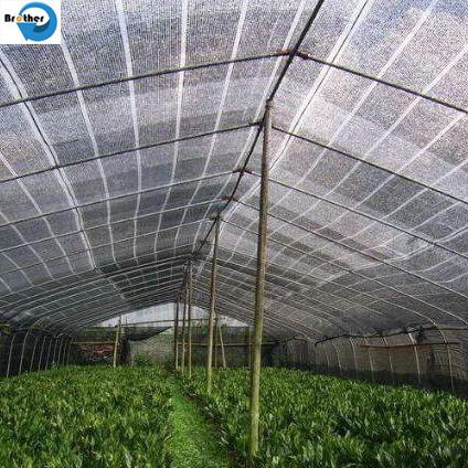 New HDPE Agriculture Greenhouse Garden Black Plastic 70% Sunshade Netting,