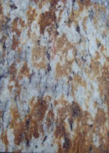 Wholesale Verniz Tropical Polished Large Granite Floor Tiles Sawn Flamed Acid Resistance from china suppliers