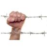 Buy cheap Galvanized Barbed wire from wholesalers