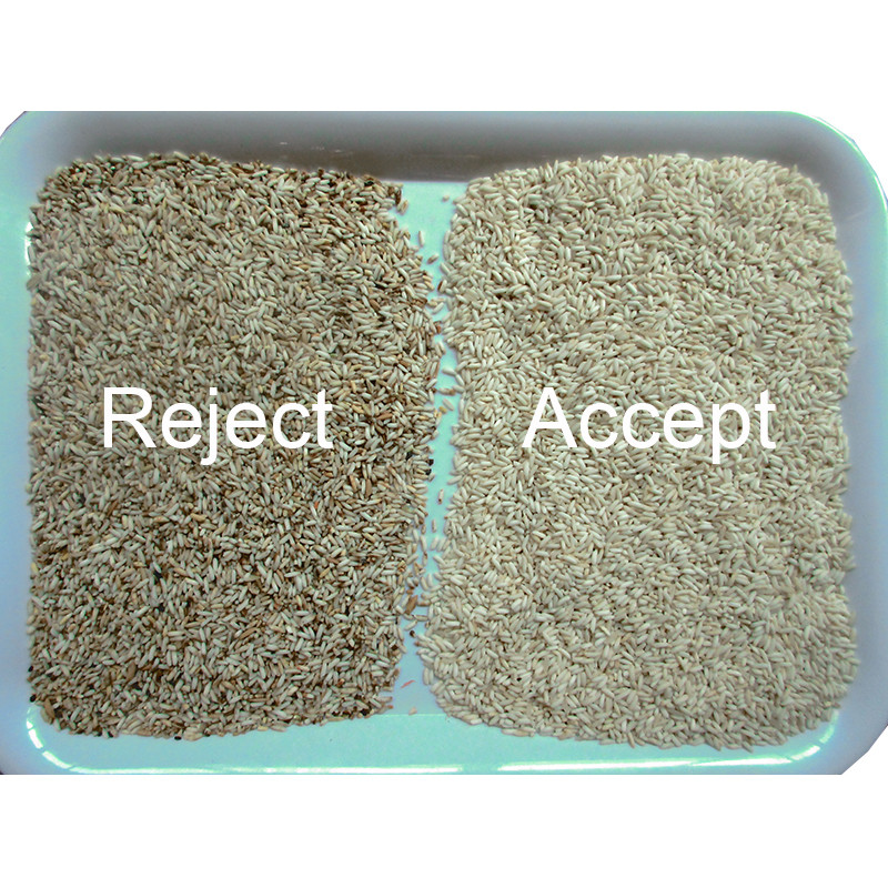 CCD Camera 10 Tons Rice Color Sorter Machine Rice Sorting Machine With AI Technology