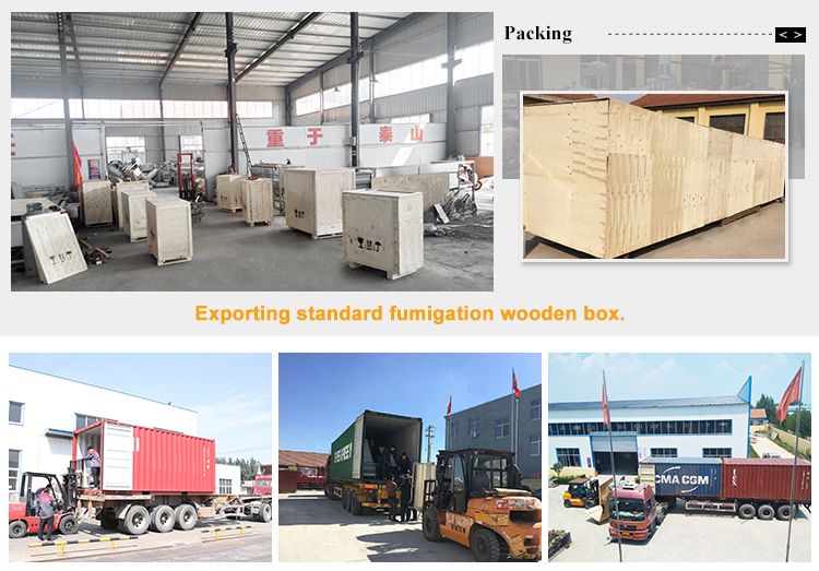 Vertical Full Automatic Granular Particle Food Rice Snacks Packing Machine Equipment