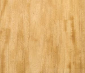 Wholesale Prima Vera Natural Wood Veneer for Furniture Door Panel Furnishings Decoration from www.shunfang-veneer-com.ecer.com from china suppliers