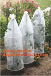 Transparent Low Tunnel Film Perforated For Culture Of Seedling Maturing