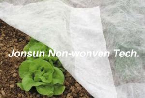 Wholesale PP Spun bonded &amp; Nonwoven Fabric Agriculture cover with UV from china suppliers