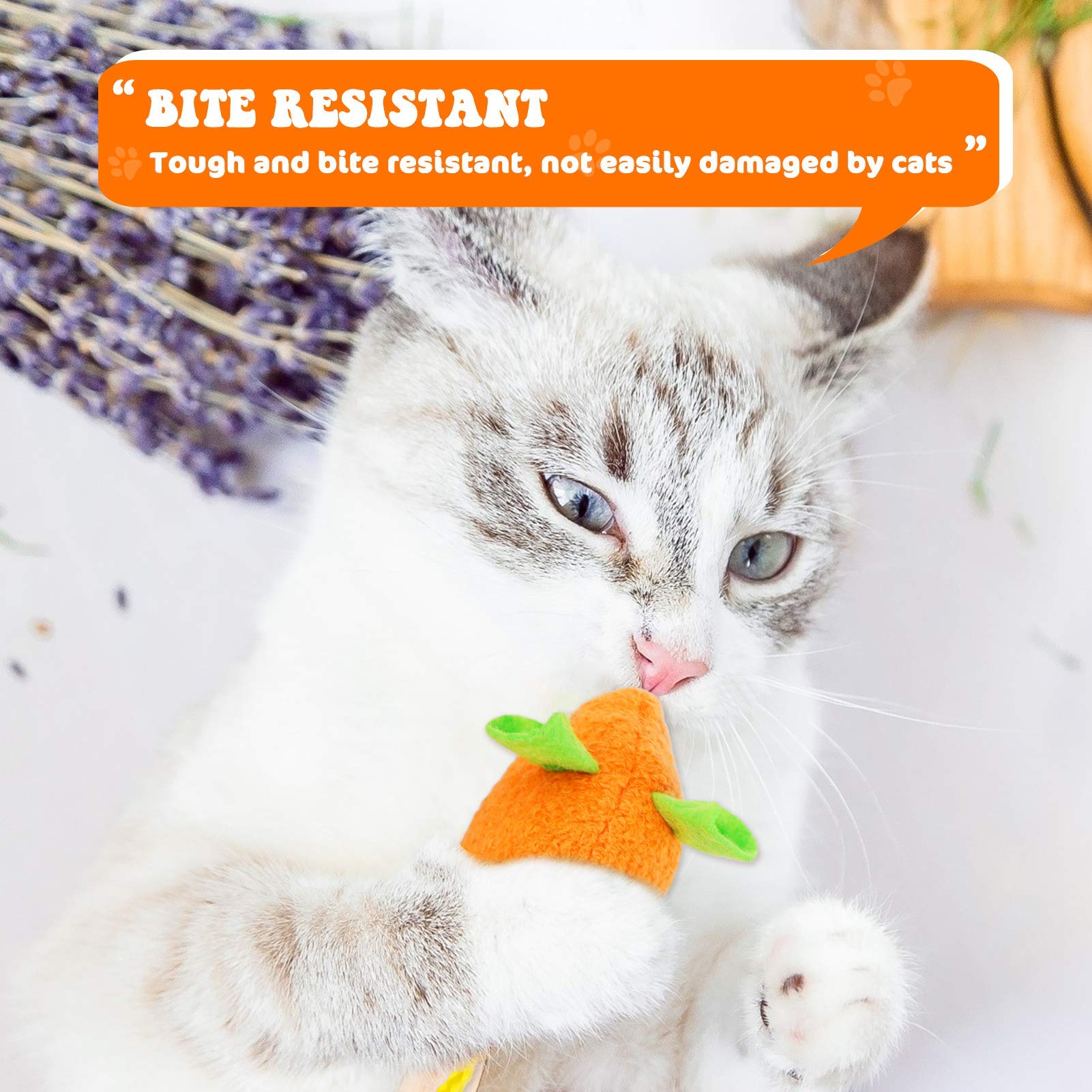 Plush Catnip Mouse Cat Toy for Interactive Indoor Cats Kitten Play Popular Style and Interactive Function