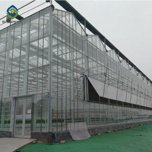 Wholesale Transparent Hydroponic 0.3KN/M2 Multi Span Greenhouse from china suppliers