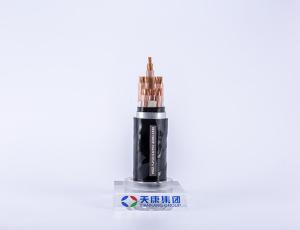 Wholesale Underwater Waterproof Electrical Cable WDZ-YJY23 0.6kv from china suppliers