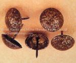Cafe ancient color decoration bubble nail,Dia 16mm mould8009,iron with plating
