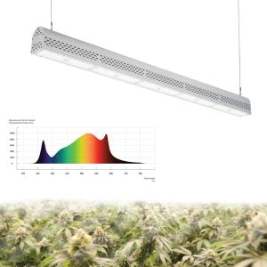 Wholesale Indoor / Outdoor Greenhouse LED Grow Lights Bar High Penetration 50/60Hz from china suppliers