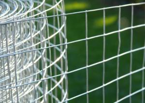Wholesale High Durability Galvanized Welded Mesh Rolls For Poultry Raising from china suppliers