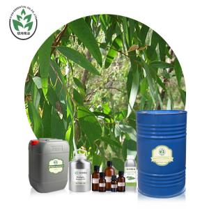 Wholesale Globulus Aromatherapy Essential Oils from china suppliers