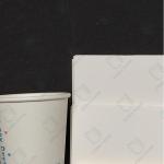 Low Carbon Footprint Clay Coated Cupstock For Eco Conscious Cafes