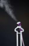 Home Appliance Handheld Fabric Steamer , Laundry Shop Upright Fabric Steamer