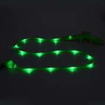 0.8*150cm PVC LED Dog Leash , Anti Lost Flat Dog Leash For Dogs Safety