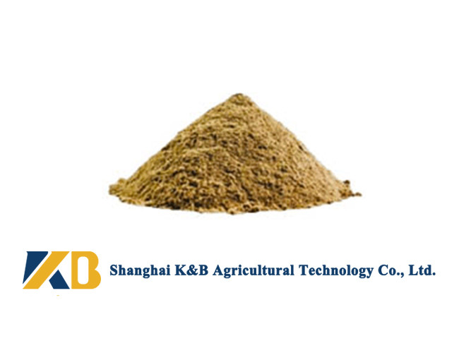 Feed Grade Fish Meal / Natural Animal Feed Contains Various Nutritions