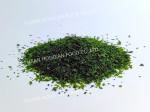 Umami Flavor Green Aonori Japanese Seaweed Powder