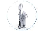 4 Handles cryolipolysis fat freezing machine vacuum fat cellulite machines for